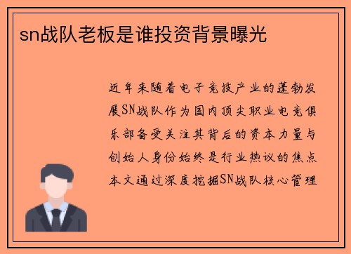 sn战队老板是谁投资背景曝光